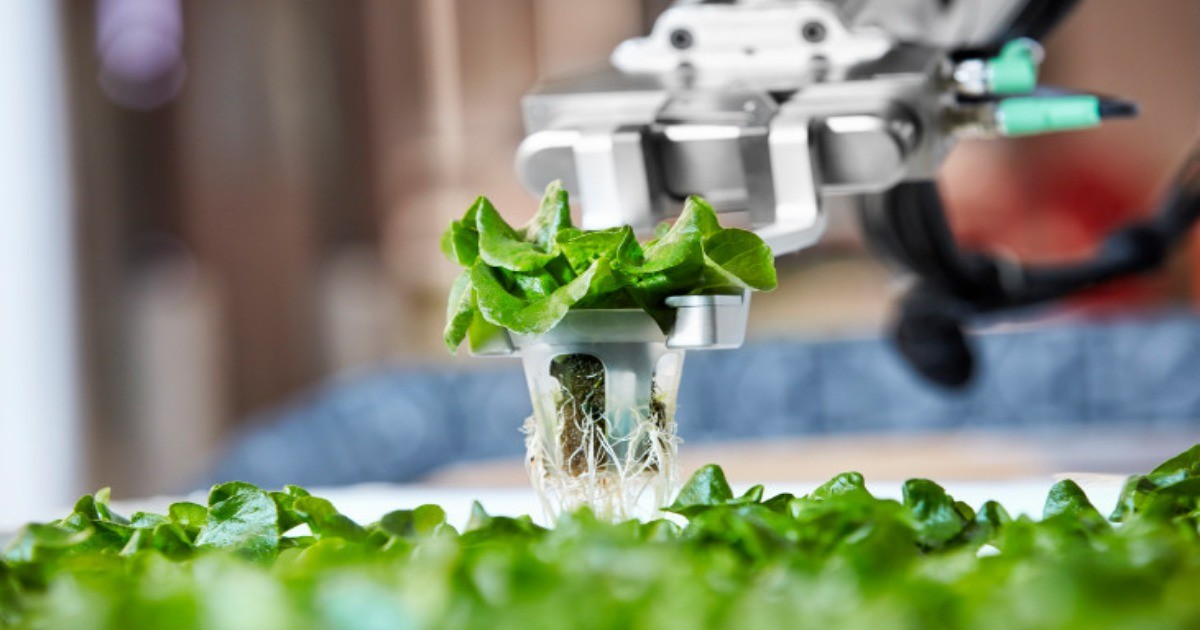 全球第一座人工智慧農場正式營運　開啟農業自動化時代