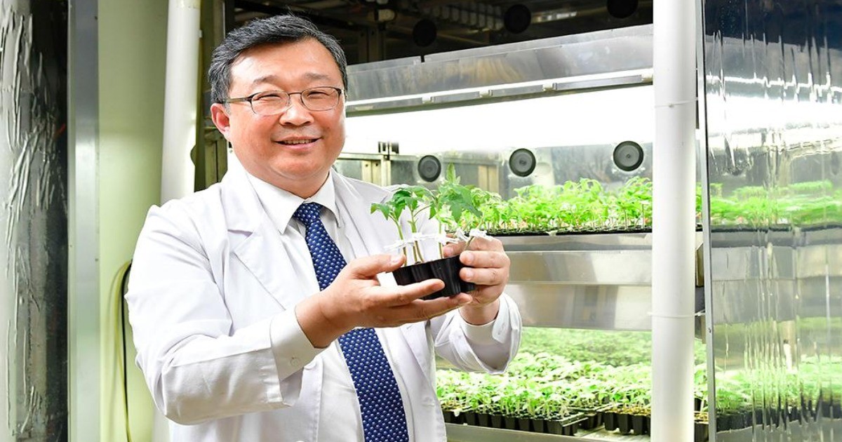 垂直農業：南韓教授說明三星的全光譜白色園藝LED