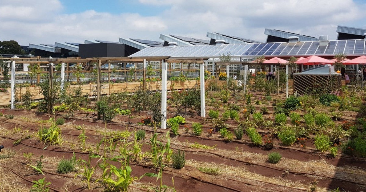澳洲的購物中心，結合農場，將資源再利用，達到永續利用